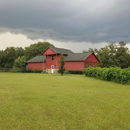 Hawks Nest Loft Apartment Crawfordville Exterior photo